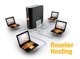 Reseller Web Hosting